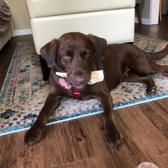 Meet your Posher, Catherine - Picture 2 of 4